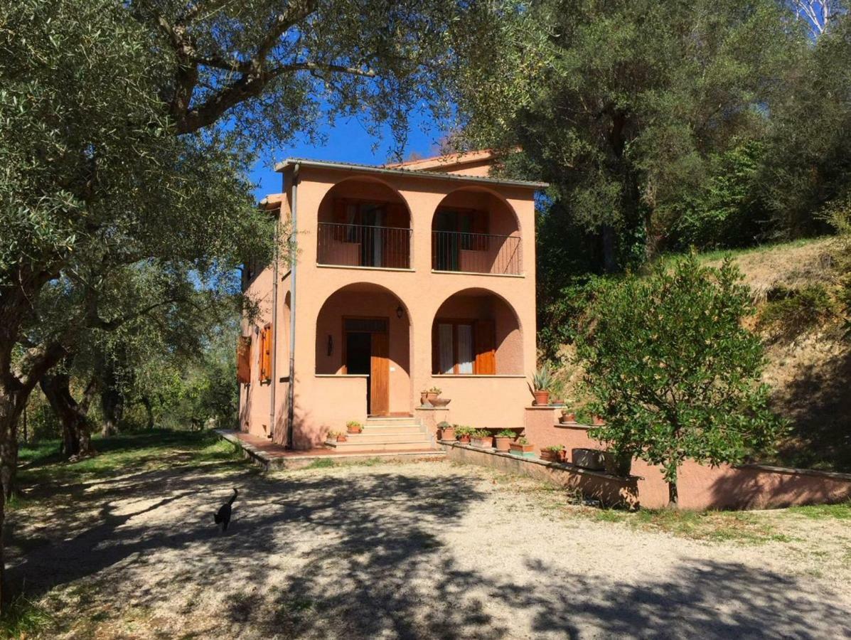 Argentella House Villa Palombara Sabina Bagian luar foto