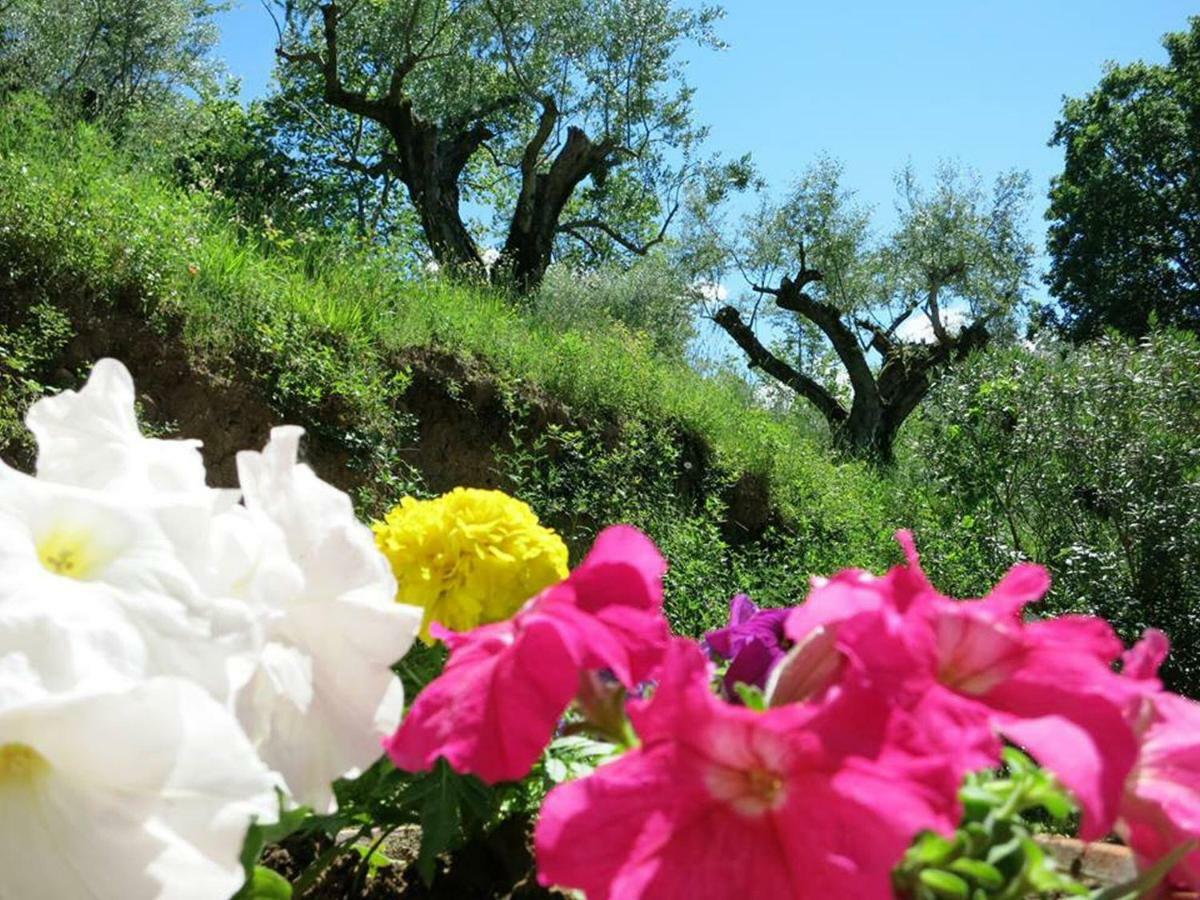 Argentella House Villa Palombara Sabina Bagian luar foto